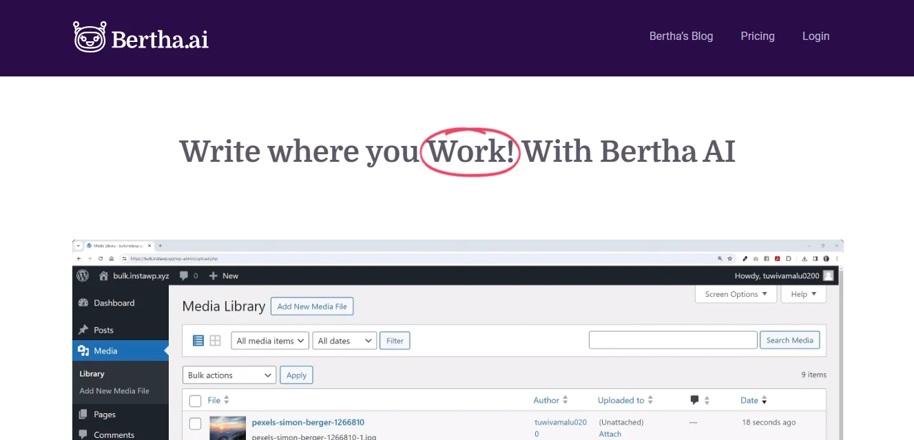 Screenshot of Bertha